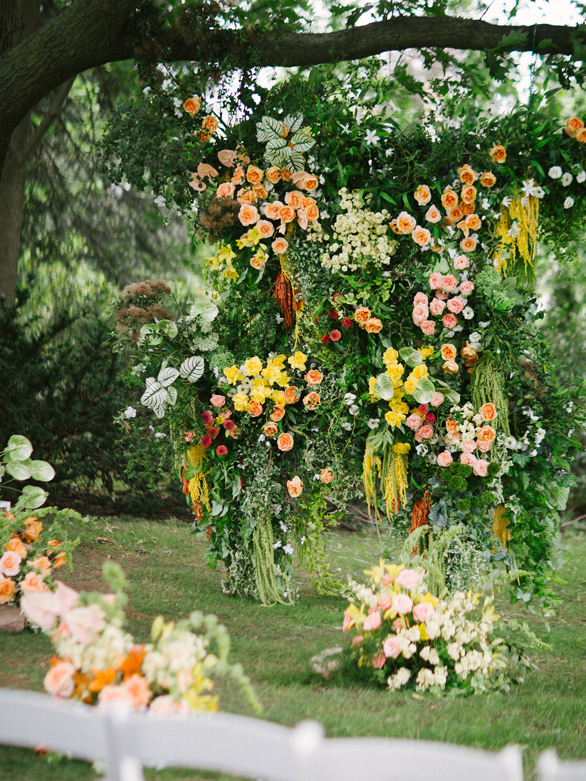 Summer Flower